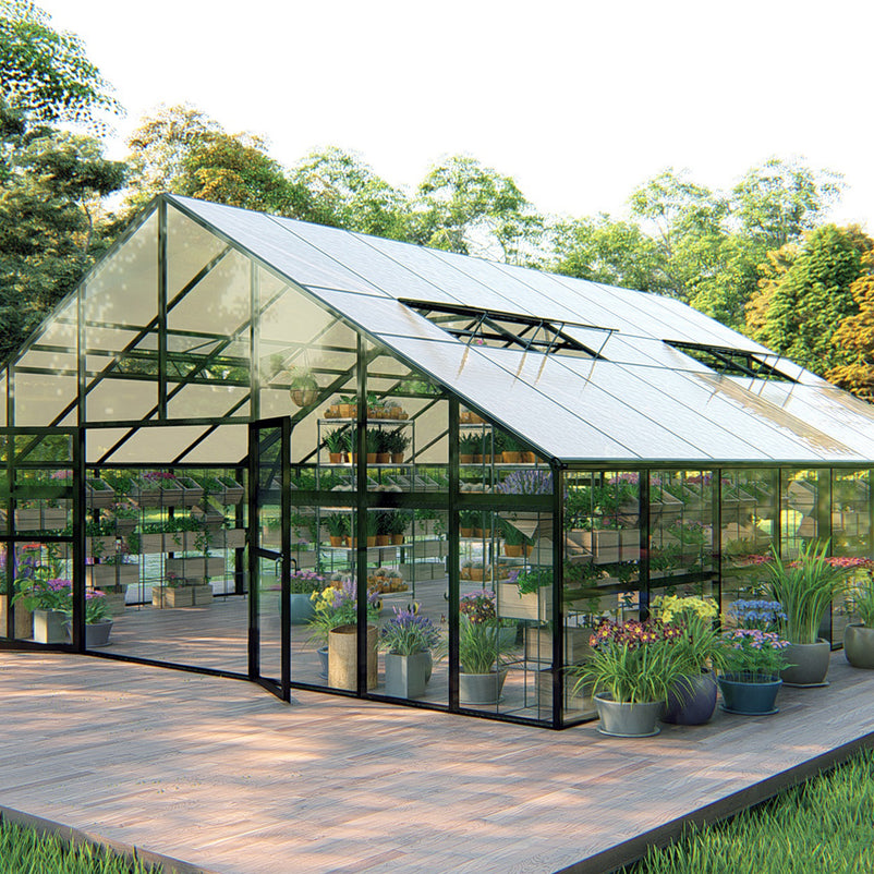 HALL Oranjerie, 706x806cm