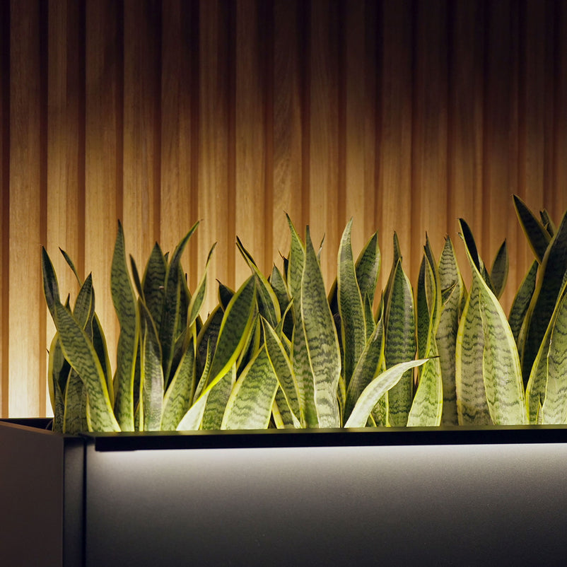 PLANTER METAL Suport lumină jardinieră