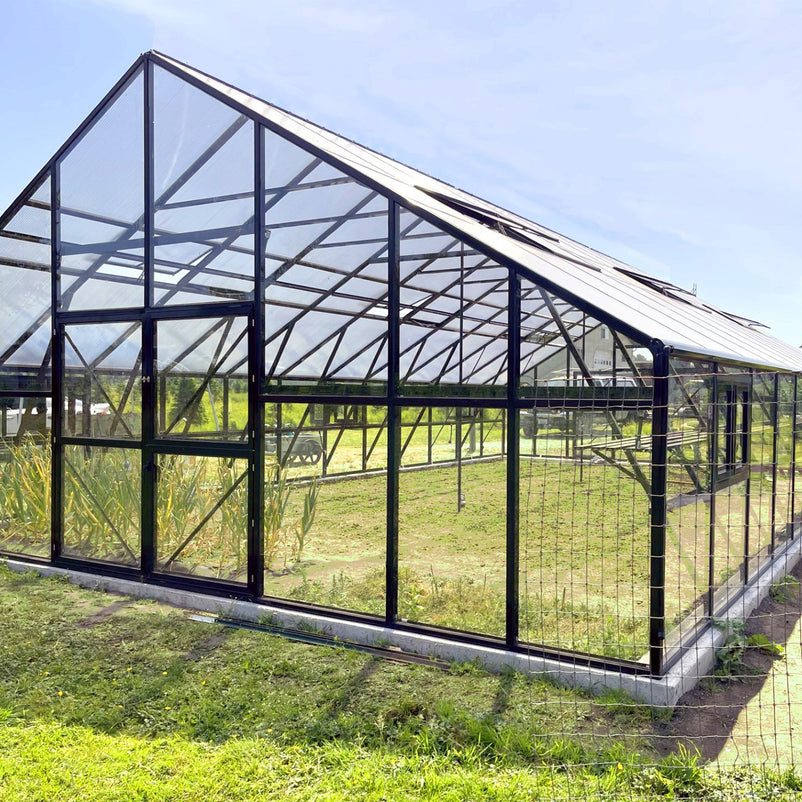 HALL Oranjerie, 706x806cm