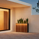 PLANTER WOOD DIVIDER Jardinieră