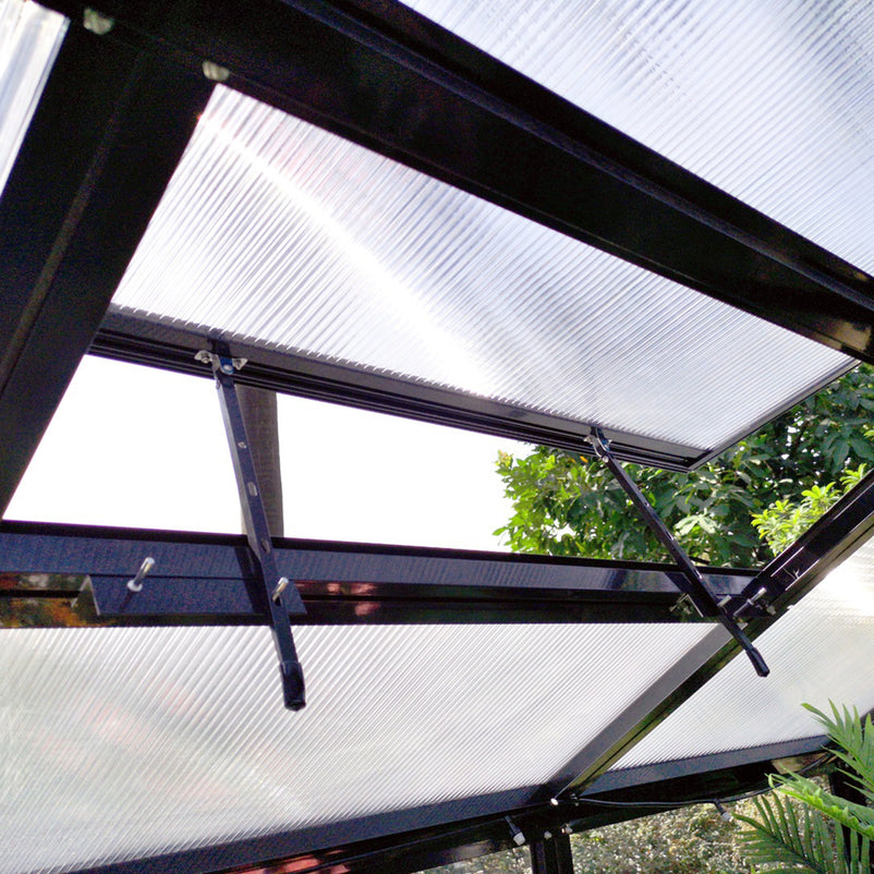 HALL Oranjerie, 706x806cm