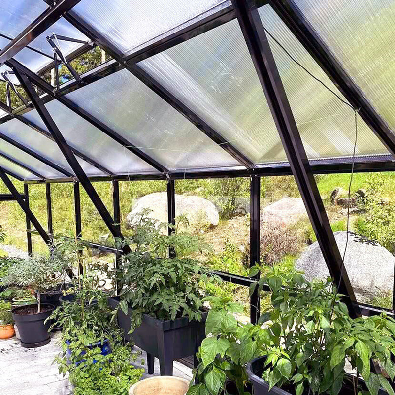 HALL Oranjerie, 706x806cm