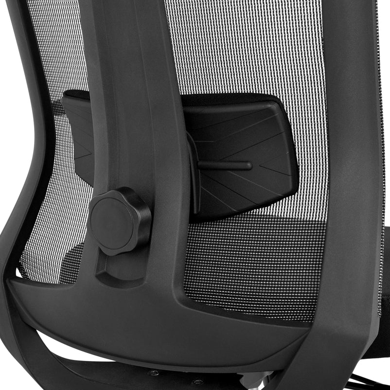 OTTO Scaun ergonomic birou