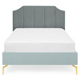 vernil/blue / 120x200 / zafir-25-auriu