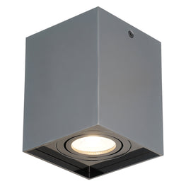 NETTO Plafonieră 1x20W GU10