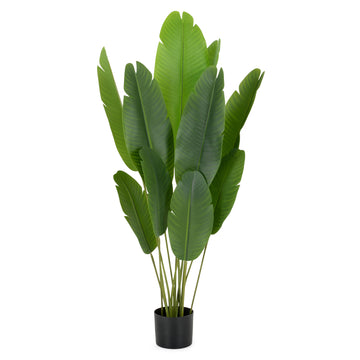 STRELITZIA Plantă artificială de la Mobexpert