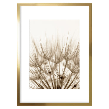 DANDELIONS II Tablou
