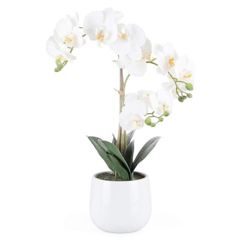 SNOWY ORCHID Aranjament flori artificiale