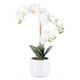 SNOWY ORCHID Aranjament flori artificiale