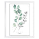 GREEN PLANT Tablou