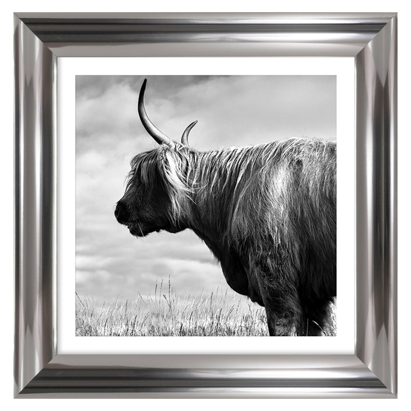 HIGHLAND II Tablou