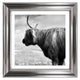 HIGHLAND II Tablou