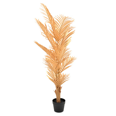 ARECA GOLD Copac artificial