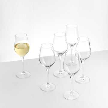 SPLENDOUR Set 6 pahare vin alb, 200ml de la Mobexpert