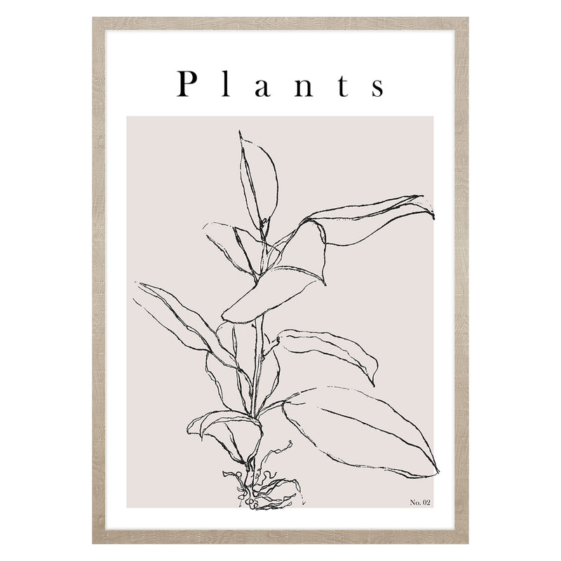PLANTS Tablou