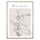 PLANTS Tablou