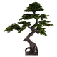 BONSAI Copac artificial, H.180cm