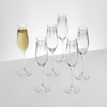 CHESTER Set 6 pahare șampanie, sticlă, 210ml