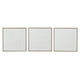 WHITE CANVAS Set 3 tablouri