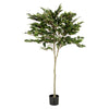 UV-FICUS Copac artificial