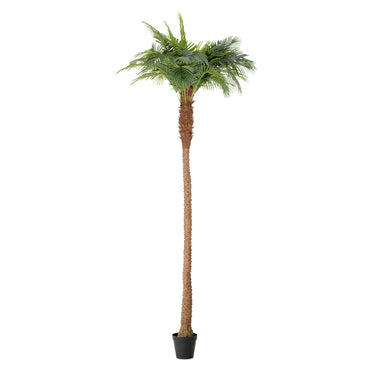 UV-PALM Copac artificial