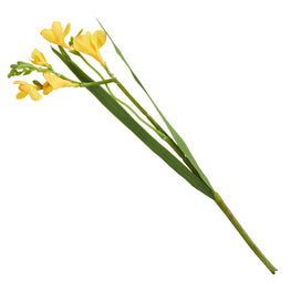 FREZIE Floare artificială