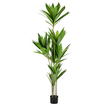 UV-DRACENA Copac artificial