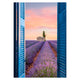 LAVENDER WINDOW Tablou canvas