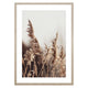 PAMPAS Tablou