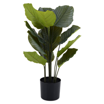 ROHDEA Plantă artificială în ghiveci de la Mobexpert