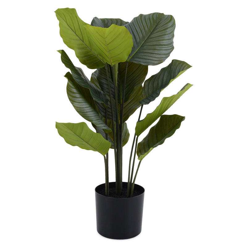 ROHDEA Plantă artificială în ghiveci