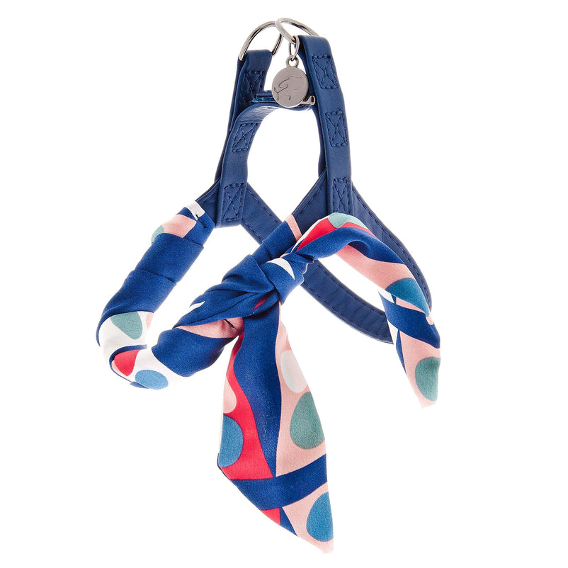 CARMEN Set lesă cu ham