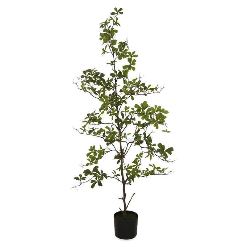 TROPICAL ALMOND Plantă artificială în ghiveci