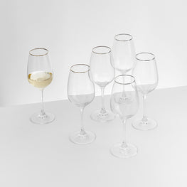 REGATTA Set 6 pahare vin alb, sticlă 340ml