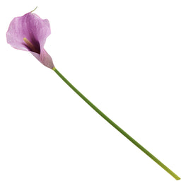 CALLA LILY Floare artificială