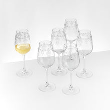CHESTER Set 6 pahare vin alb, sticlă, 340ml