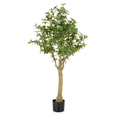 FICUS Copac artificial