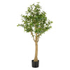 FICUS Copac artificial