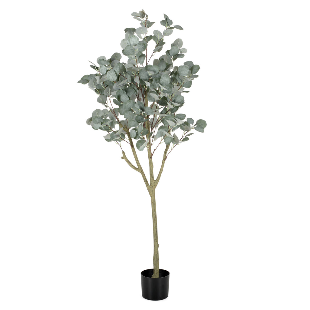 UV-EUCALYPTUS Copac artificial în ghiveci, H.150cm