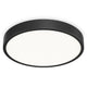 RAY Plafonieră 1x44W LED
