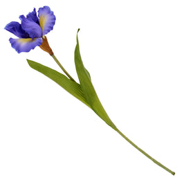 IRIS Floare artificială