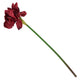 AMARYLLIS Floare artificială