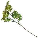 verde/maro