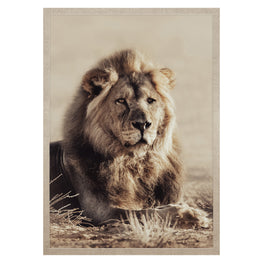 LION Tablou