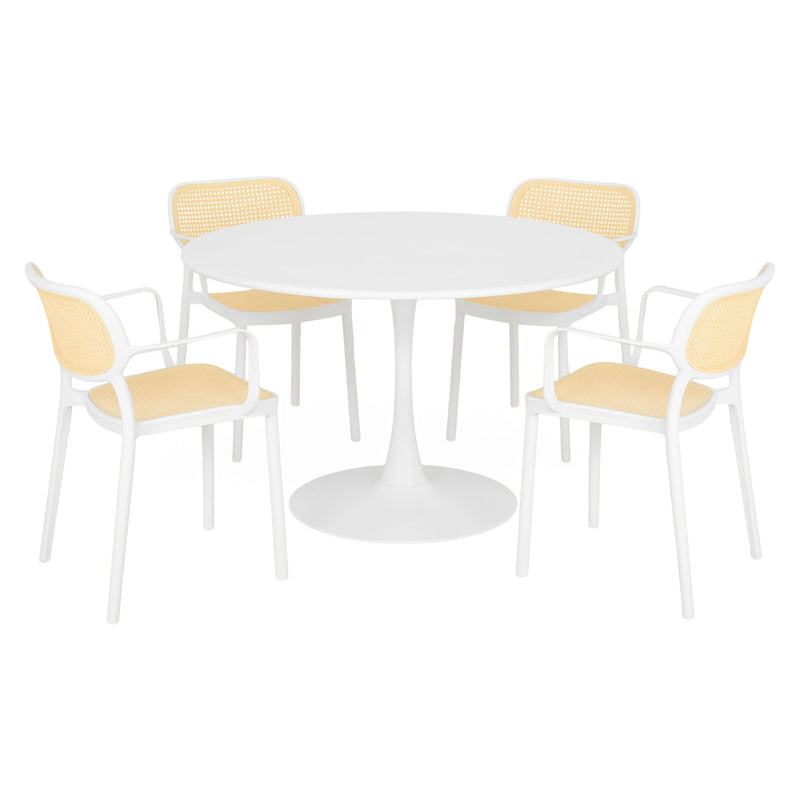PLEZURO/ALIVIO Set mobilier terasă/grădină, 4 scaune și masă