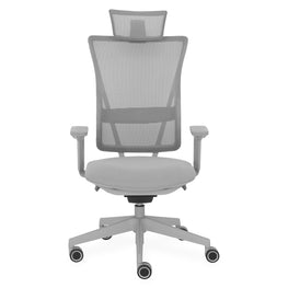 FLUID Scaun ergonomic birou