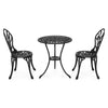 SPIDER Set mobilier terasă/grădină, 2 scaune și masă