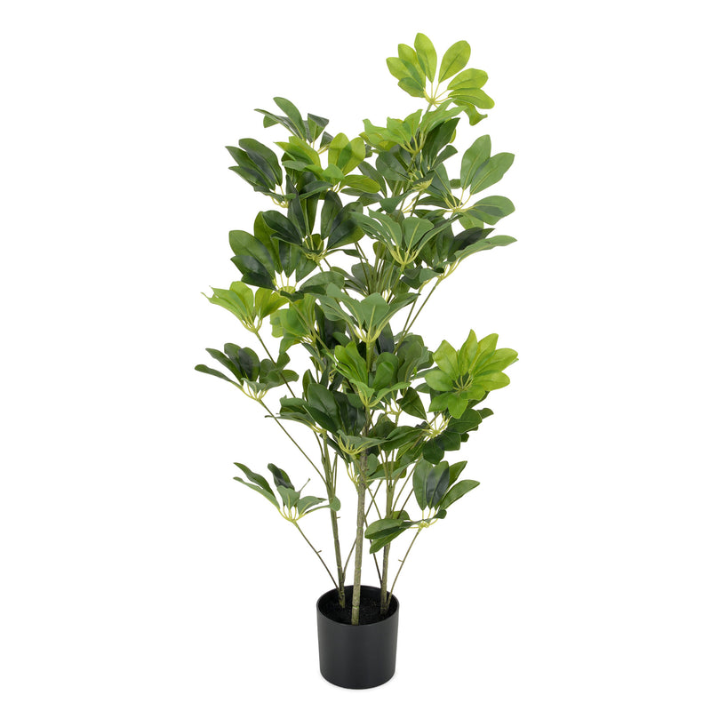 SCHEFFLERA Plantă artificială