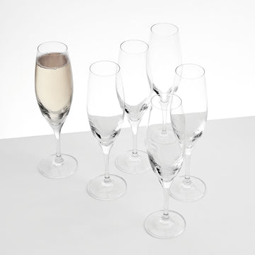 VENEZIA Set 6 pahare șampanie, sticlă, 200ml de la Mobexpert