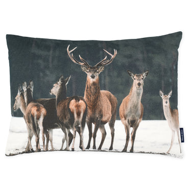CERF Pernă decorativă, 40x60cm